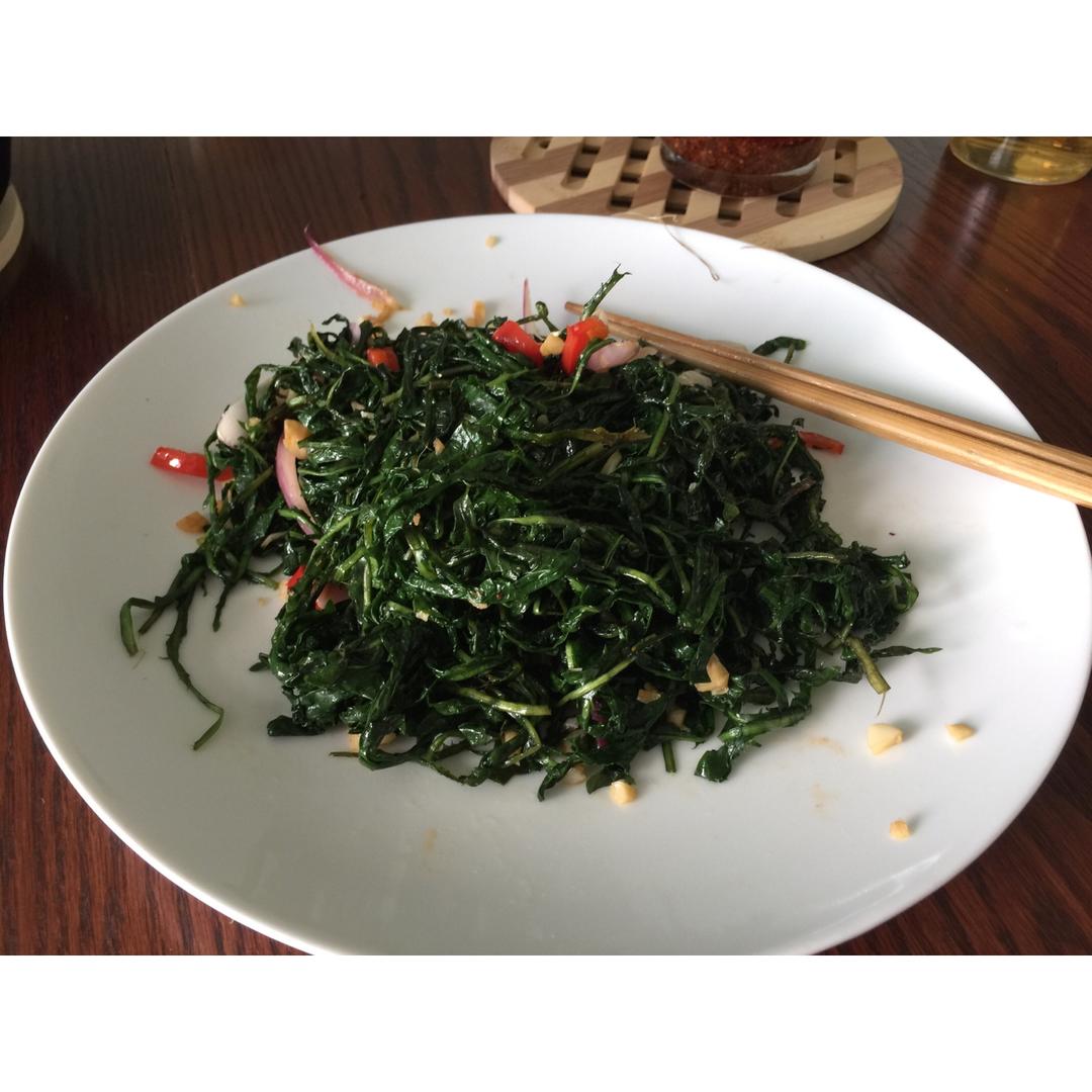 凉拌蒲公英