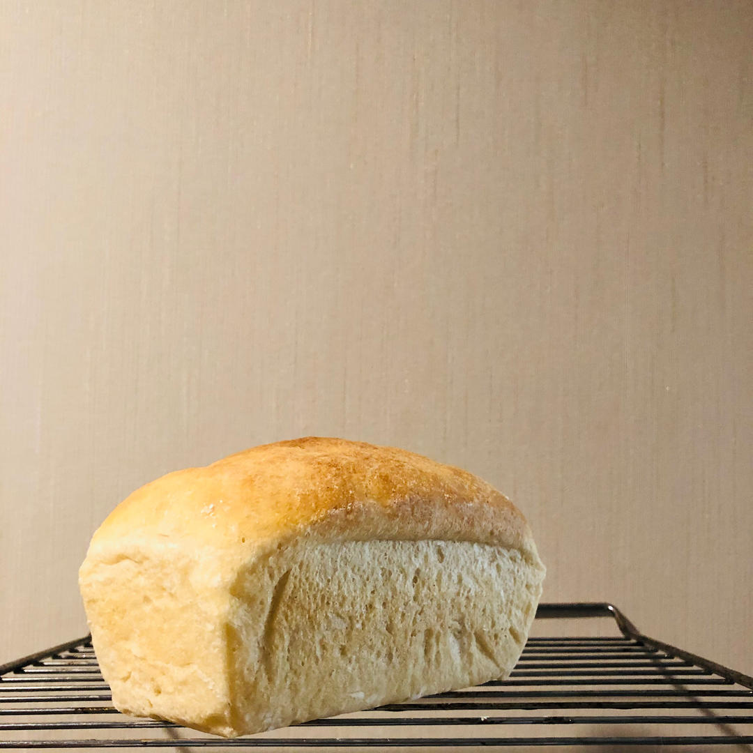 免揉迷你吐司（藤田千秋）