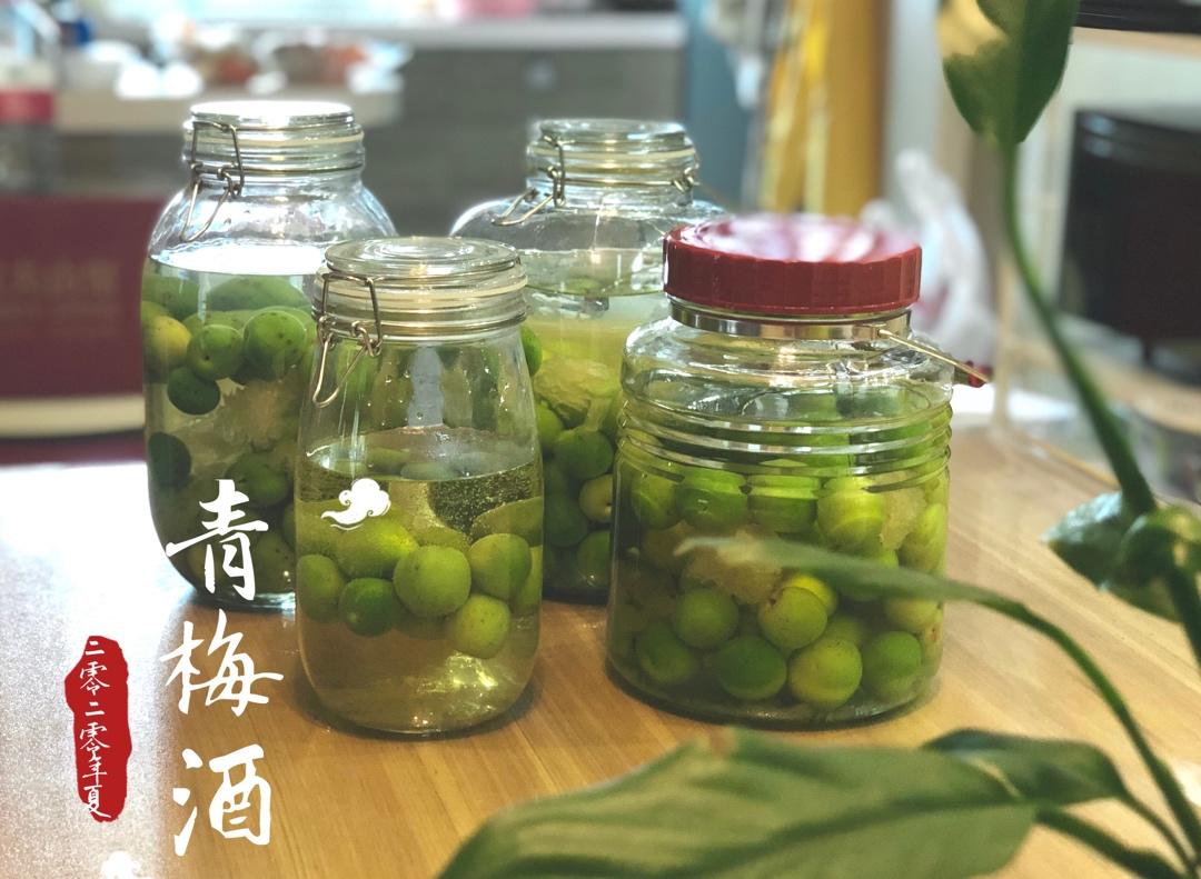 【青梅酒】梅子的沉醉时光（已填坑）