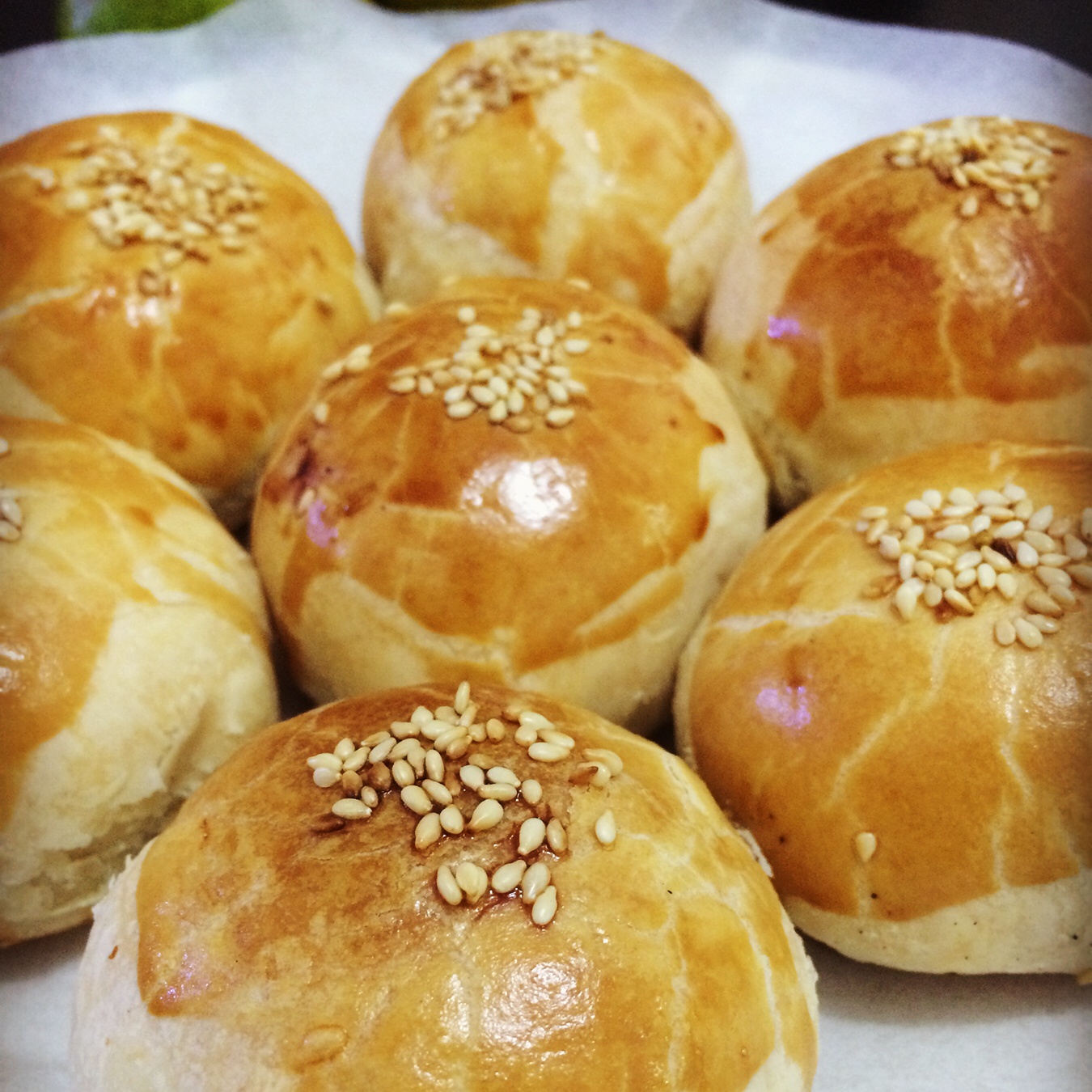 泳式鲜肉榨菜月饼