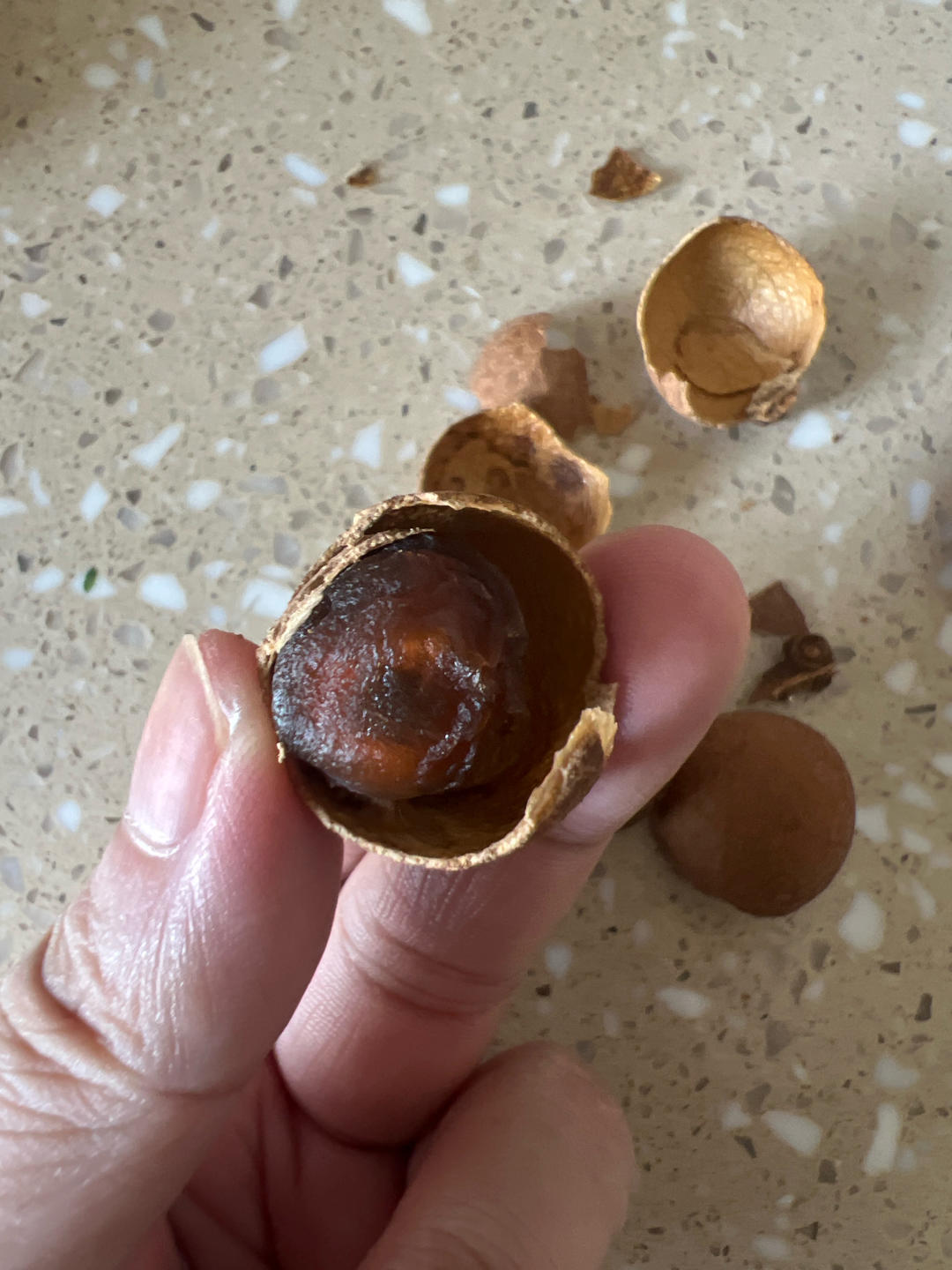 简单两步自制桂圆干丨龙眼干