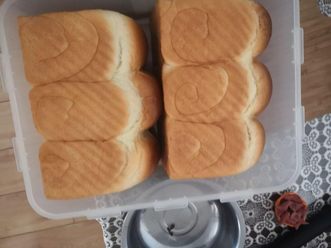 北海道吐司--100%中种