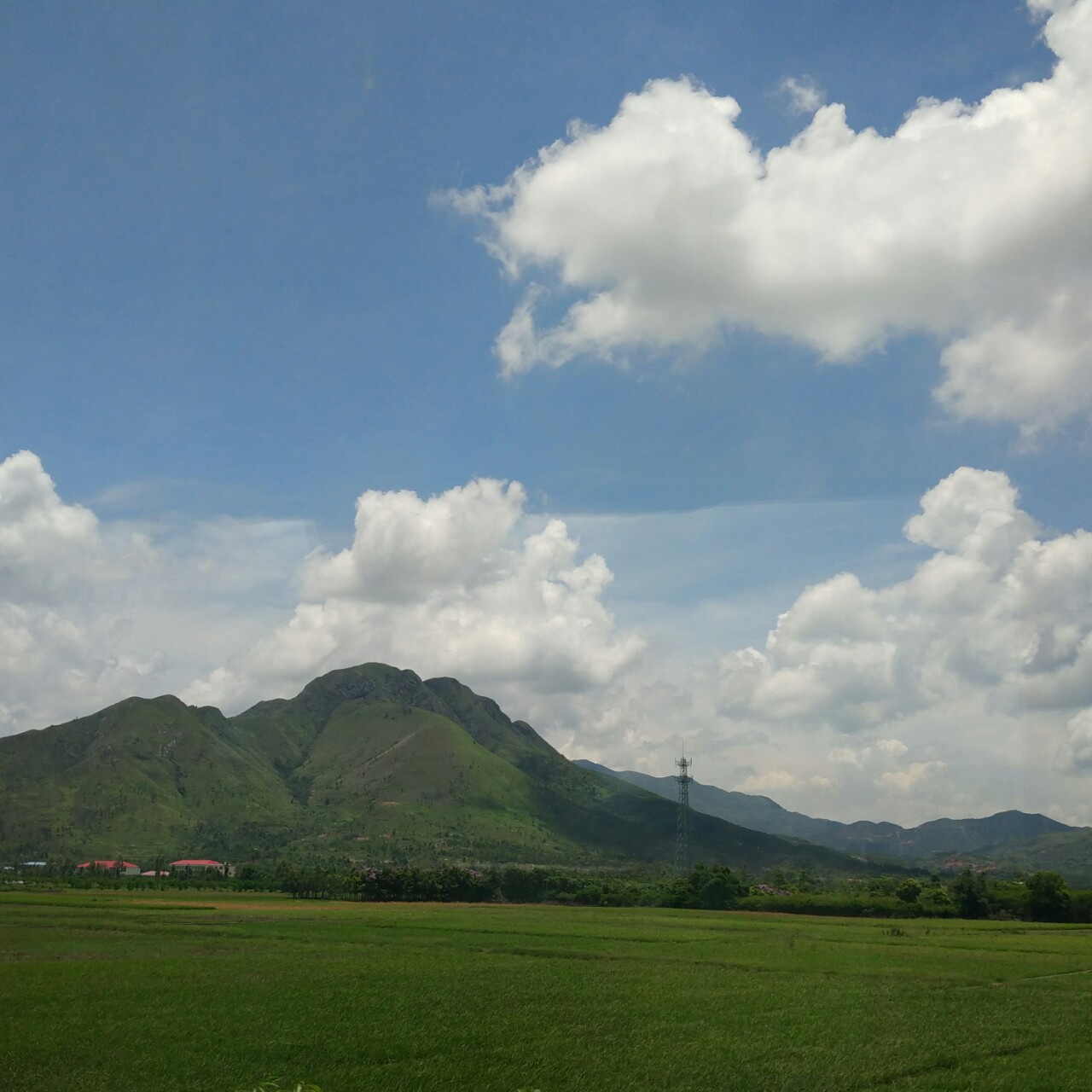 纯小白22