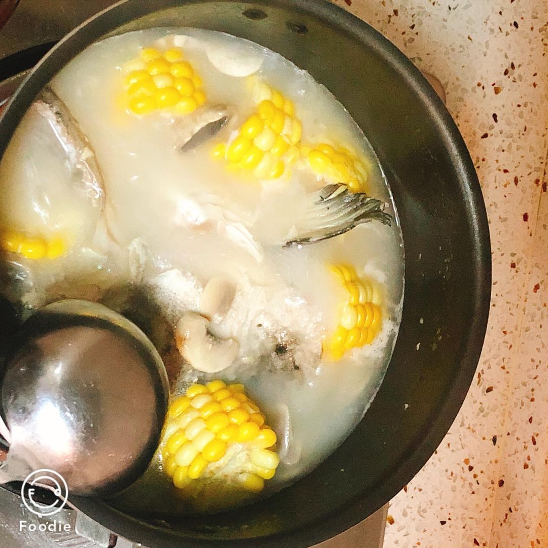 三文鱼头菌菇汤