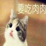 馋嘴的猫星的厨房