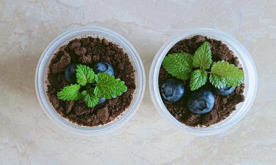 酸奶奥利奥水果盆栽