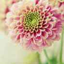 微信用户_NjY8_kv6i的厨房