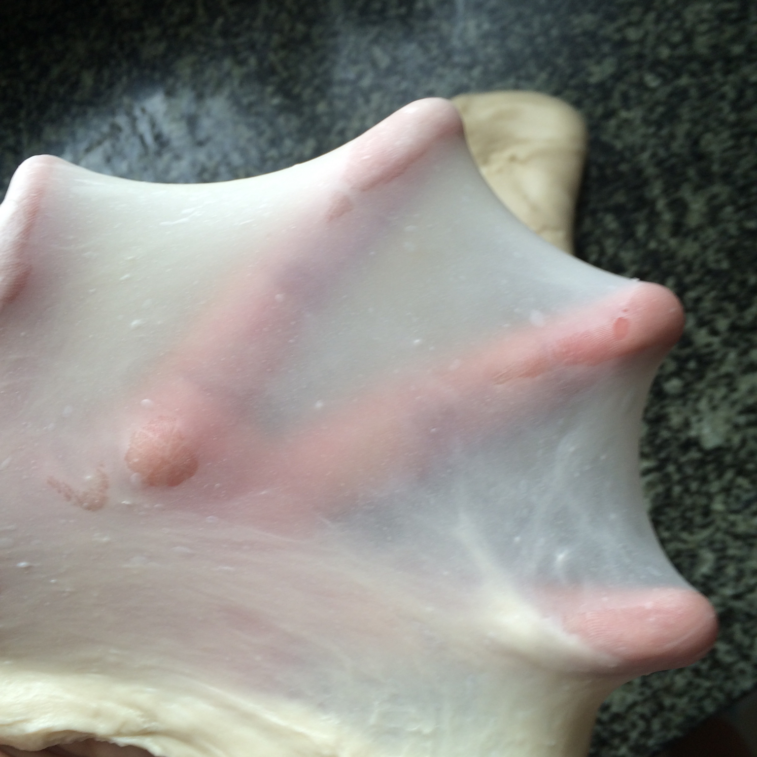 肉松面包（冷藏中种）