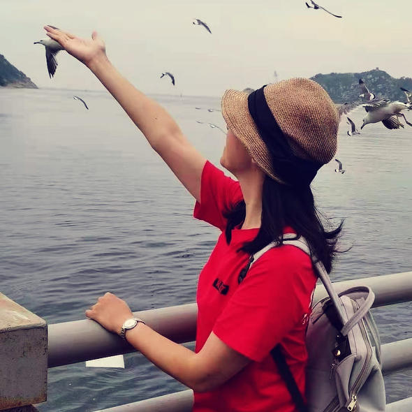 一起去看海鸥