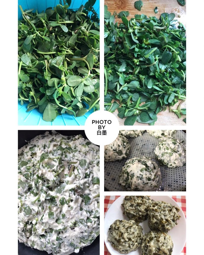 马蜂菜窝窝头
