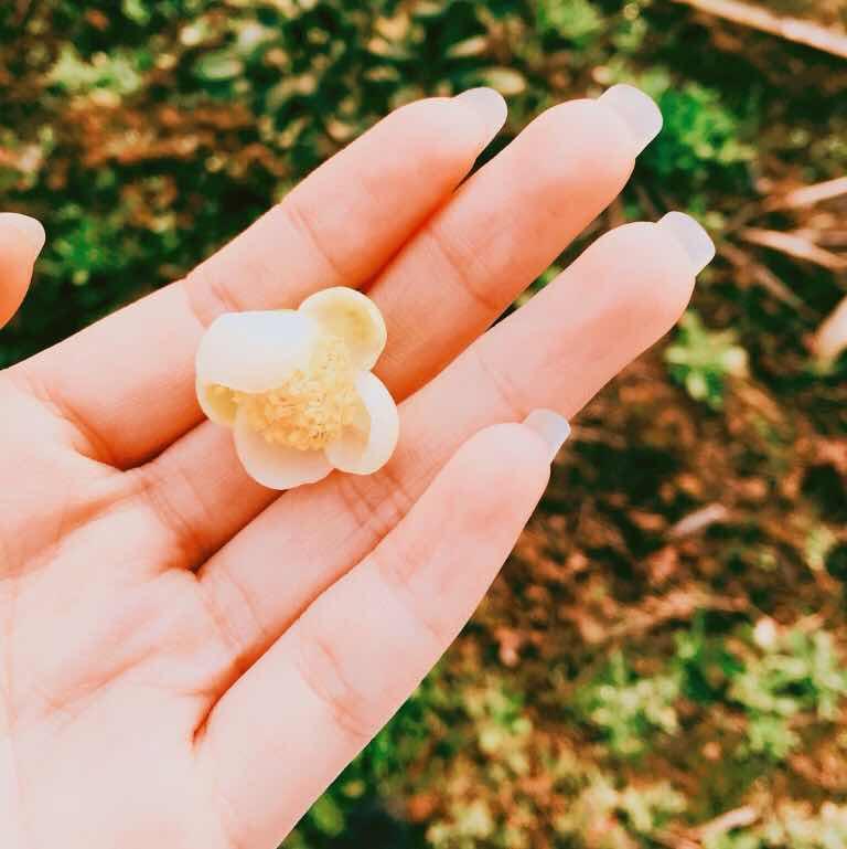 折杞家的垂耳兔的厨房