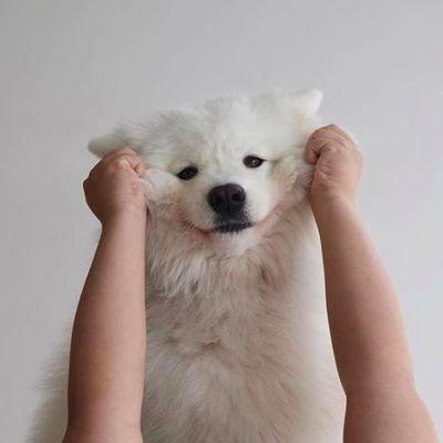 “雪糕热热吃”（简易微波炉蛋糕）