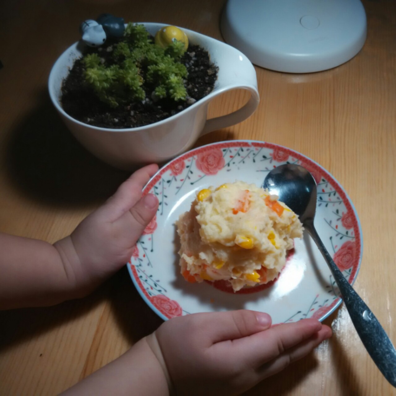 金枪鱼土豆泥沙拉