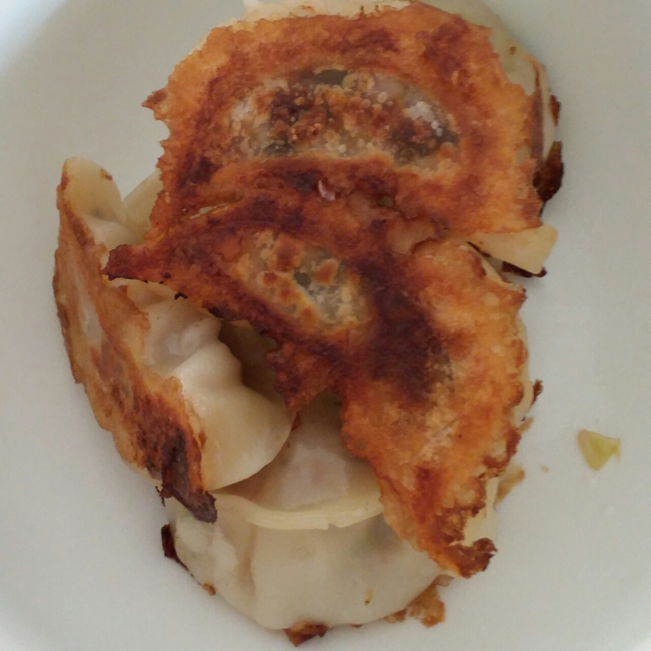 速冻饺子版锅贴