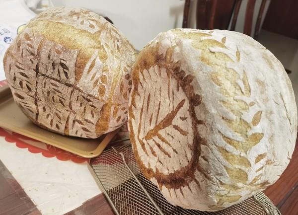 既粗犷又柔软的咖啡欧包-周记01（波兰种/配方比例/操作/时长）