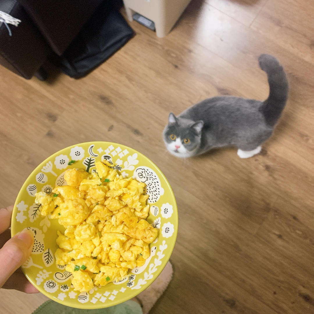 超嫩滑的番茄炒蛋
