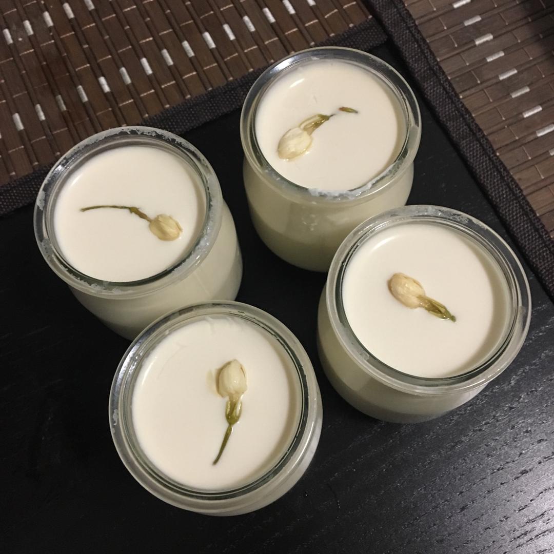 小嶋老师的茉莉奶冻