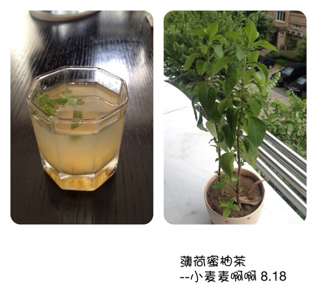 薄荷蜂蜜柚子茶