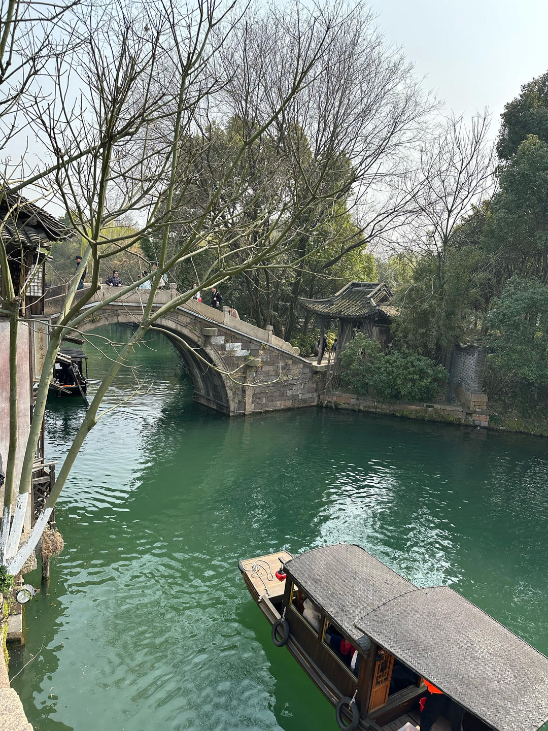 丸子ooo