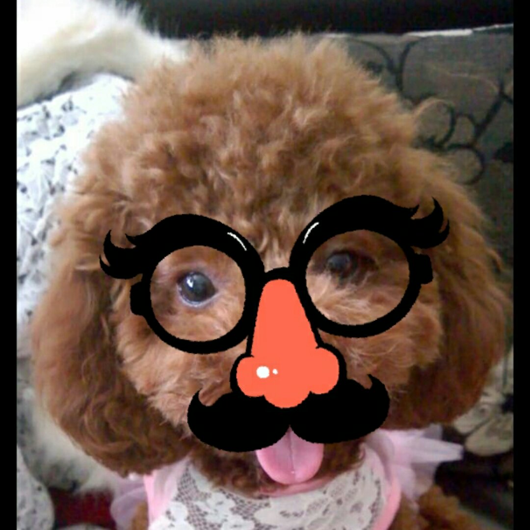 一个刚会做菜的女子