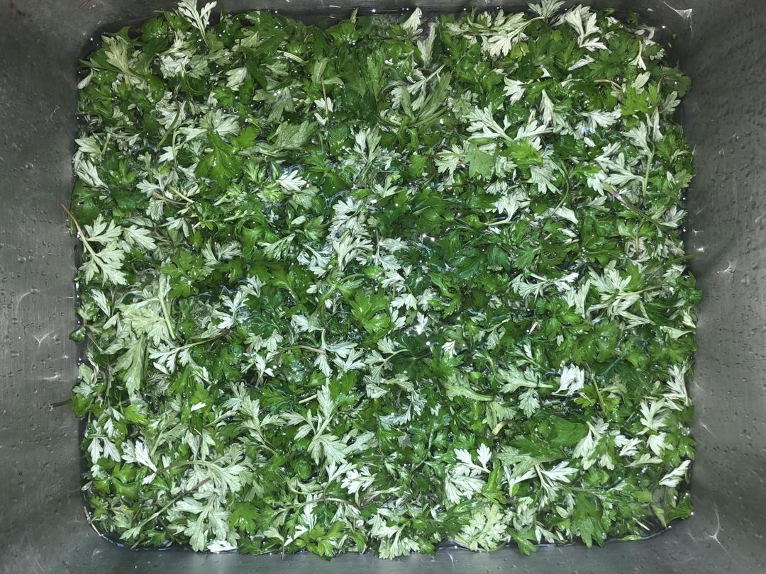 青团原料 | 艾草泥（汁）的做法
