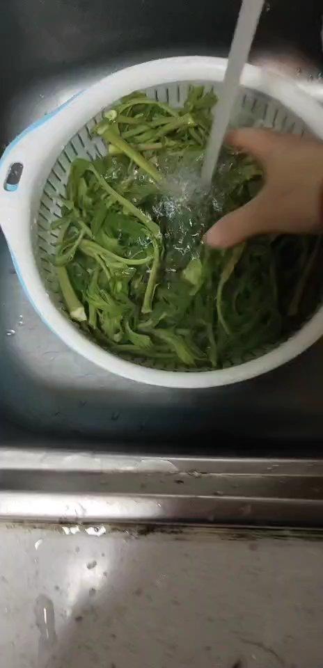 春芽炒鸡蛋