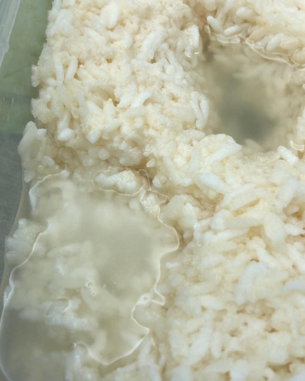 酒酿 (酒酿系列一）