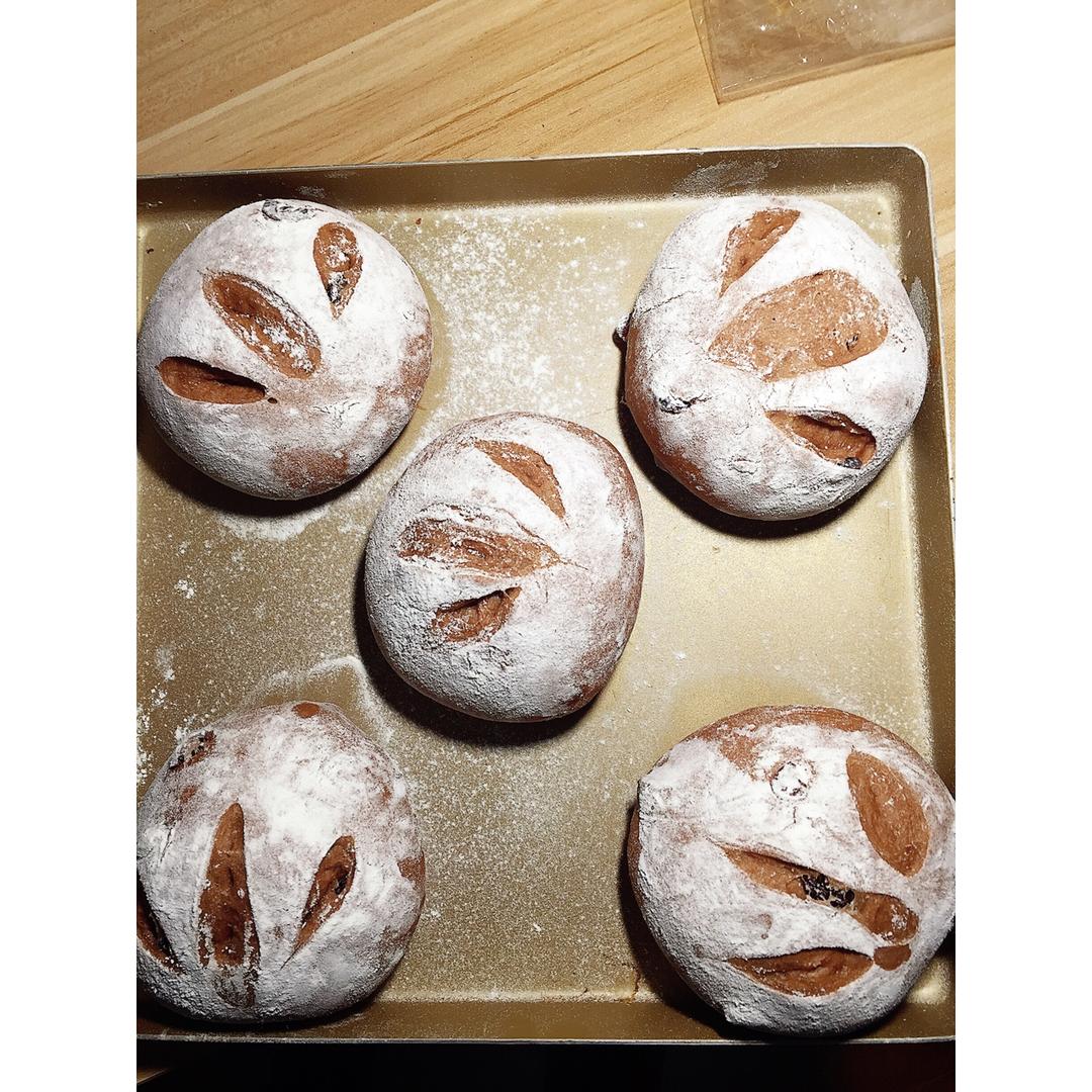 巧克力蔓越莓软欧 Rano Bread