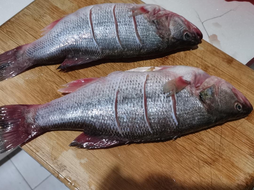 活鱼冷冻保鲜法（附厨师级的适用于各类葱油鱼的调味方法）