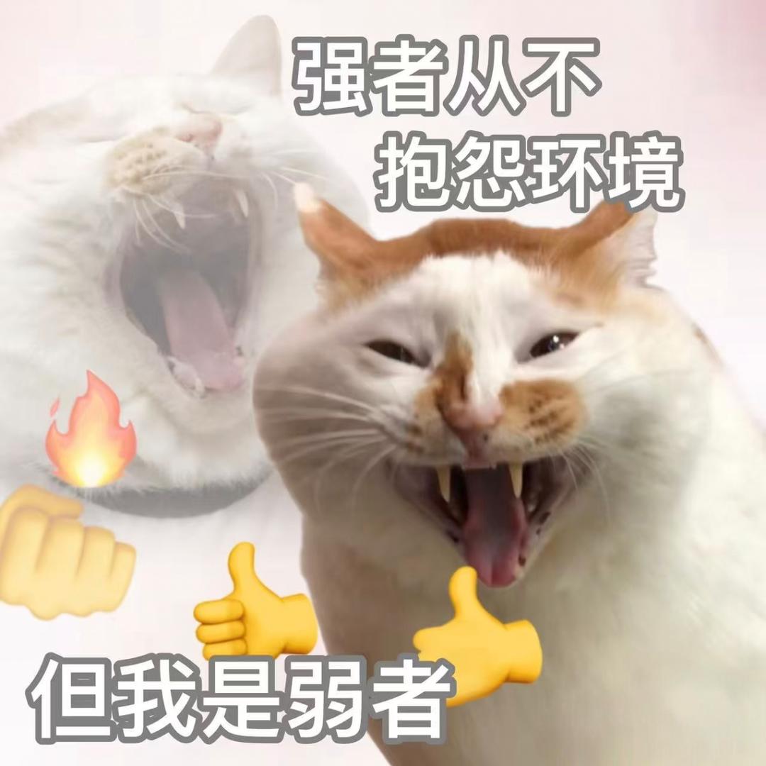 面瘫阿吉