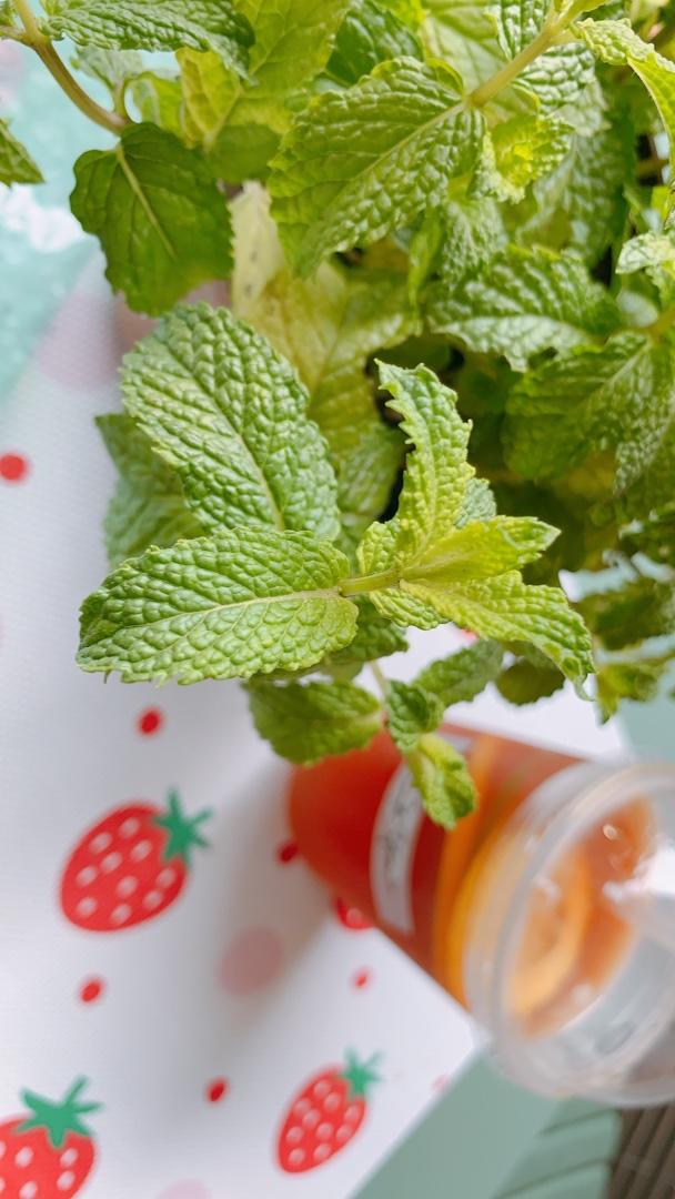 快乐食物健康吃到饱