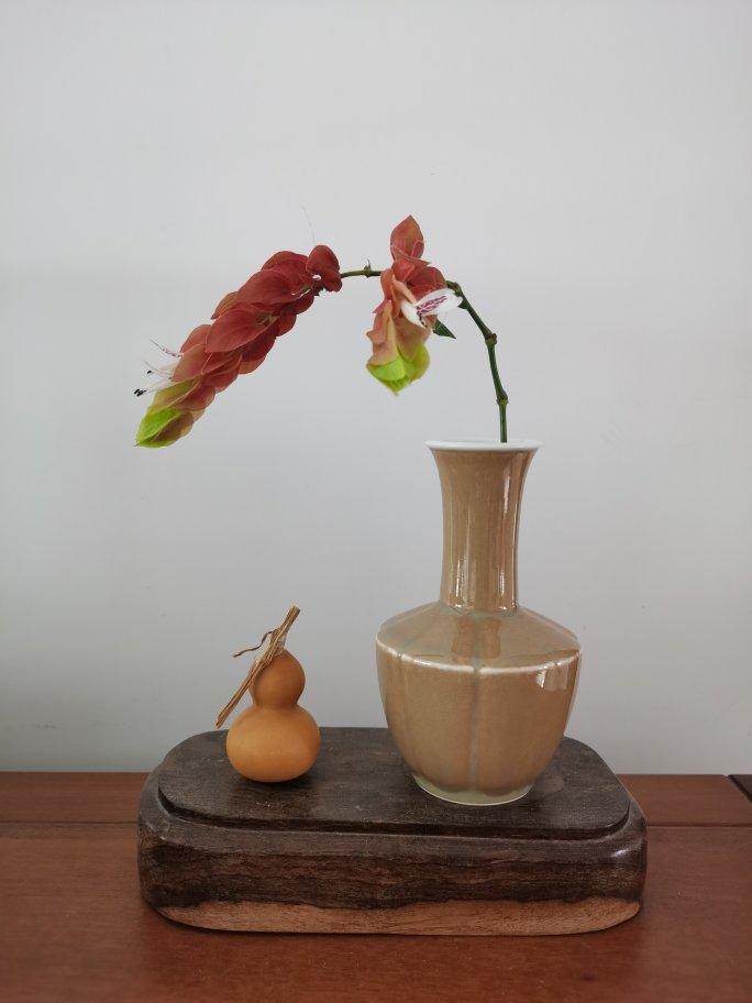 瓶花之美