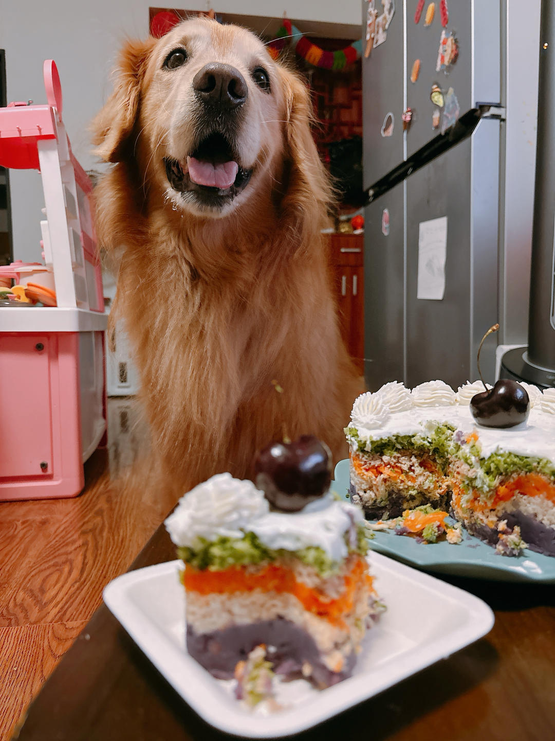 狗狗蛋糕3