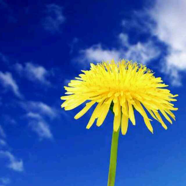 黯然销魂之饭饭_v1tu