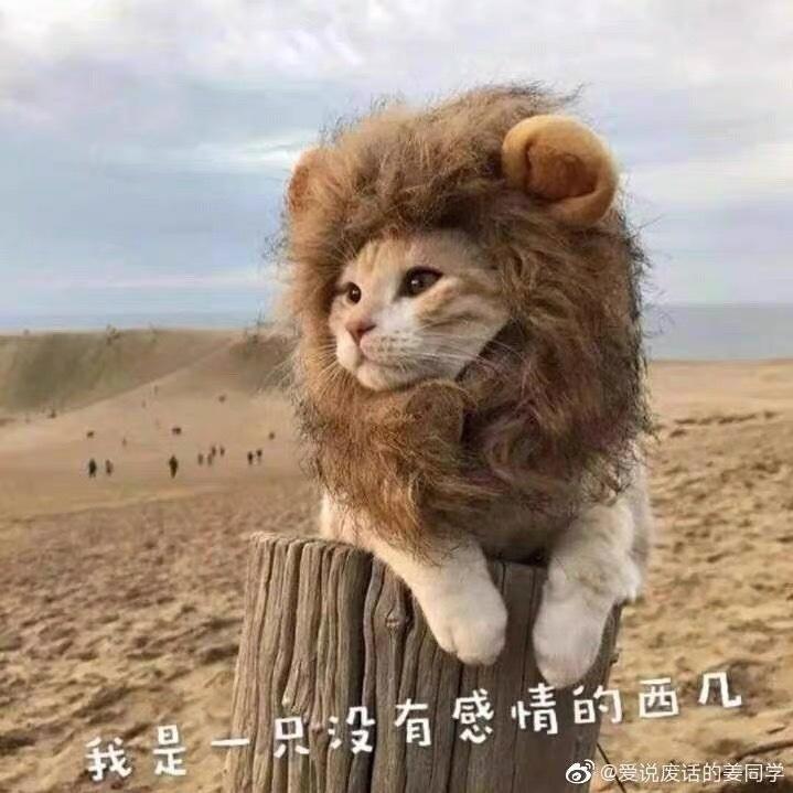 做啥啥不行好吃第一名