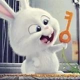 我有我的小生活