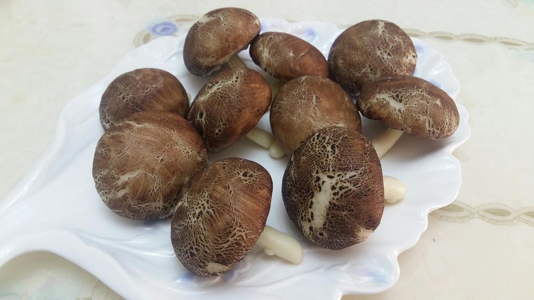 手机用户0891_7hiw做的造型馒头(蘑菇)