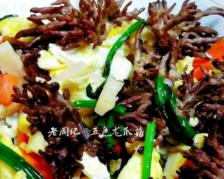 五色龙爪菇