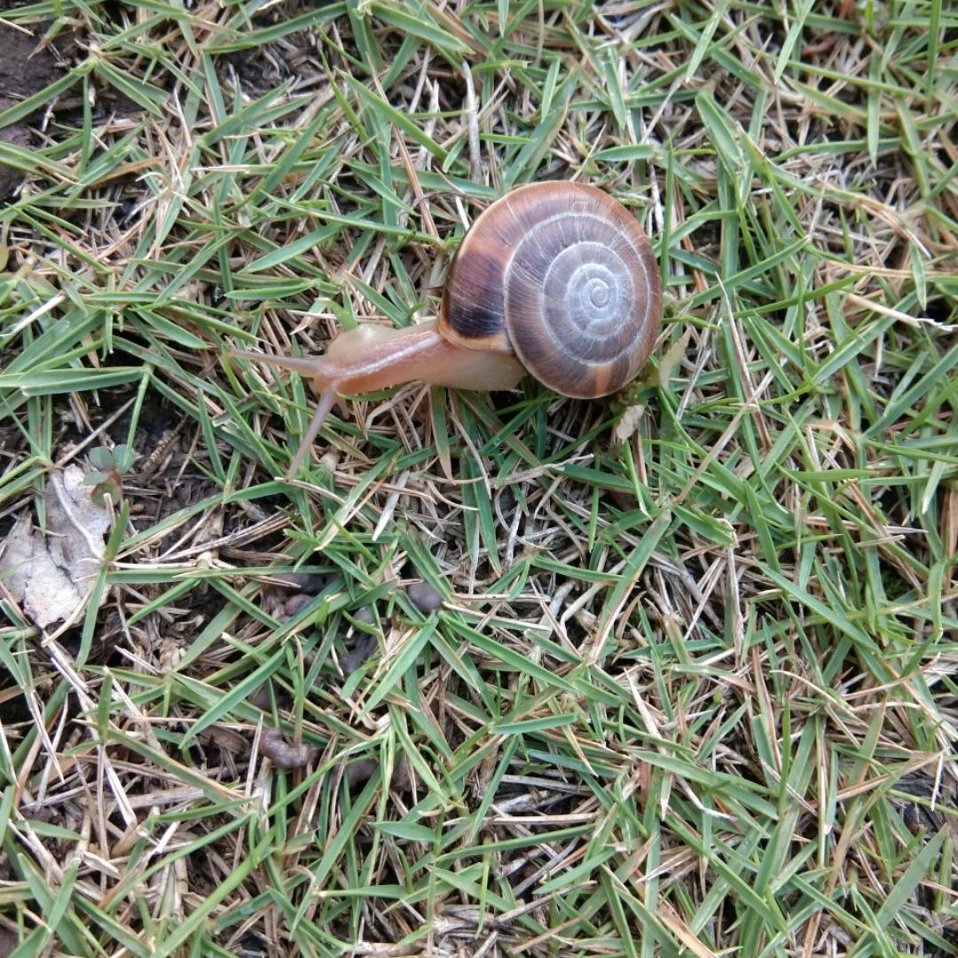 爱东想西想的人