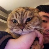 无意识少女漫游