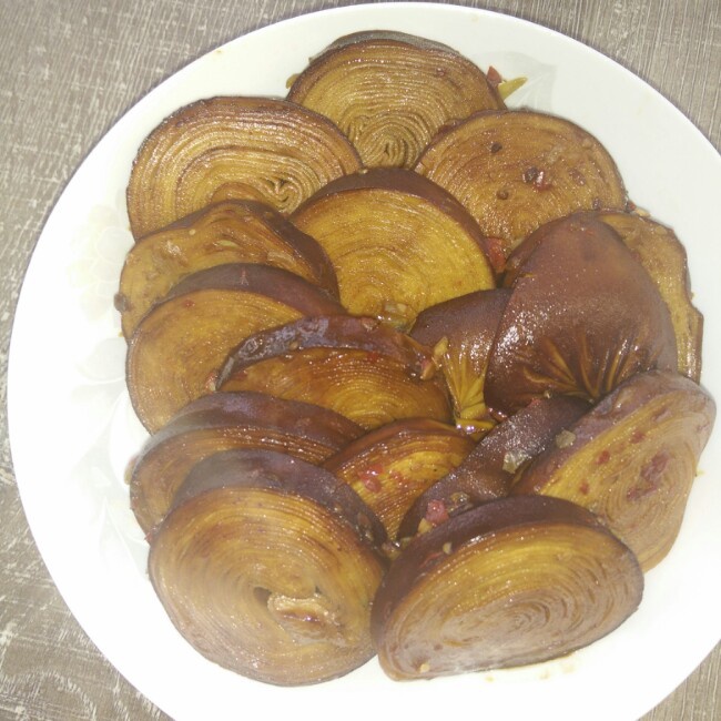 段段-新宇做的红烧素鸡