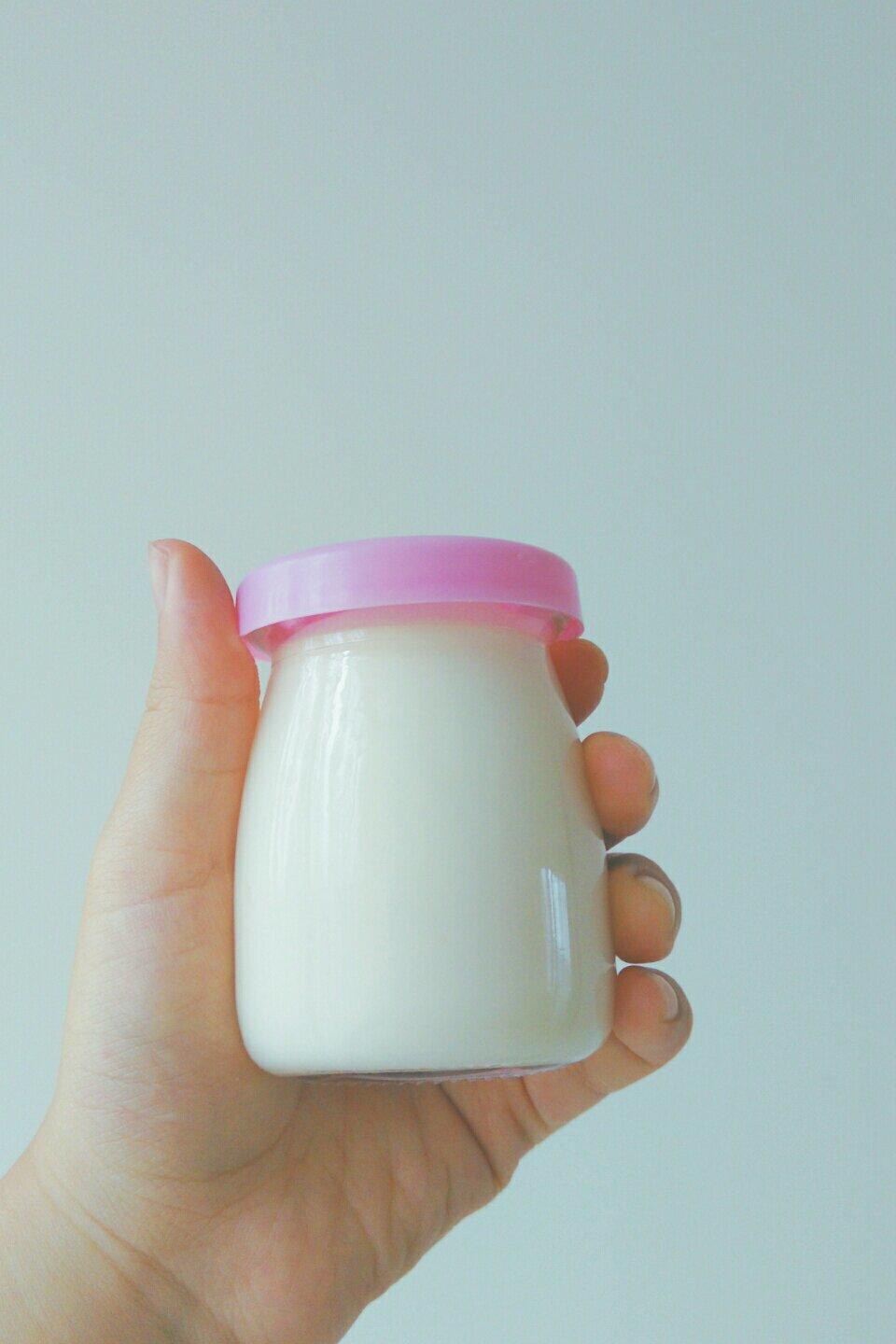 原态酪乳（酸奶）