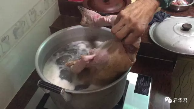 妈妈牌酱油鸡和酸梅酱油鹅的做法 步骤1