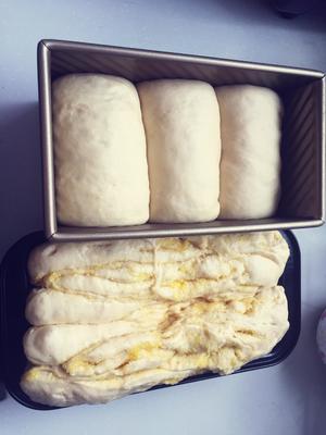 冷藏发酵，北海道、椰蓉土司一箱两烤，懒人创新版。#^_^#的做法 步骤13
