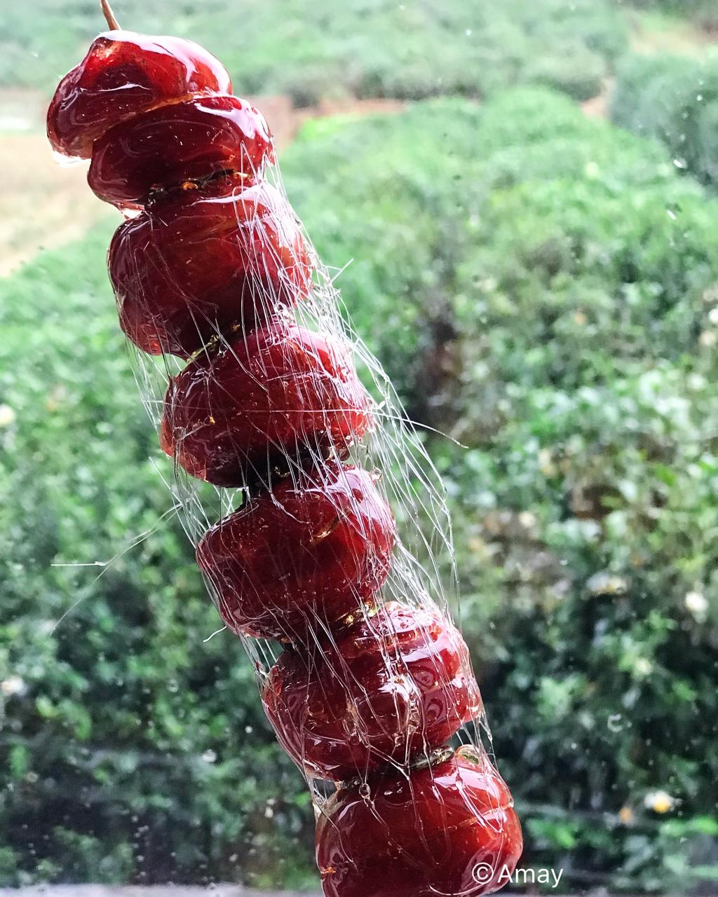 堂妈教你做冰糖葫芦