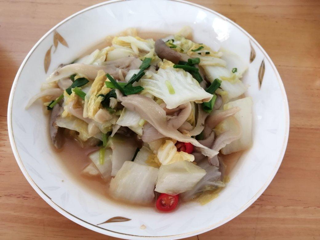 平菇炒青菜