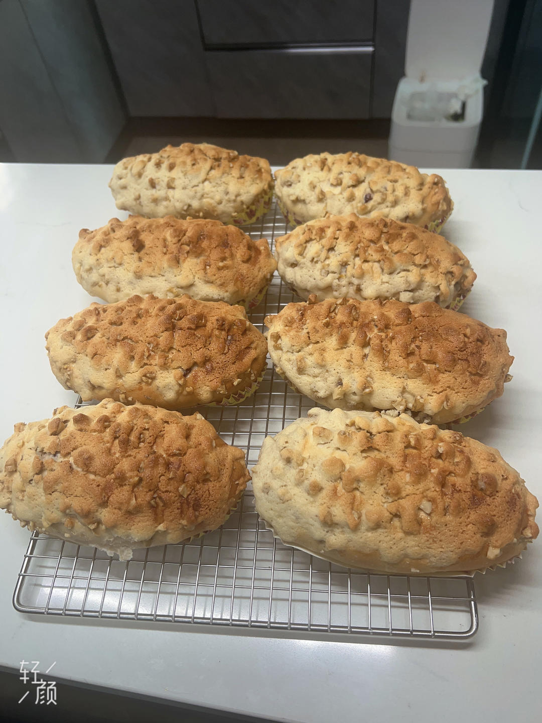 出炉秒扫光系列：核桃布里奥斯面包！