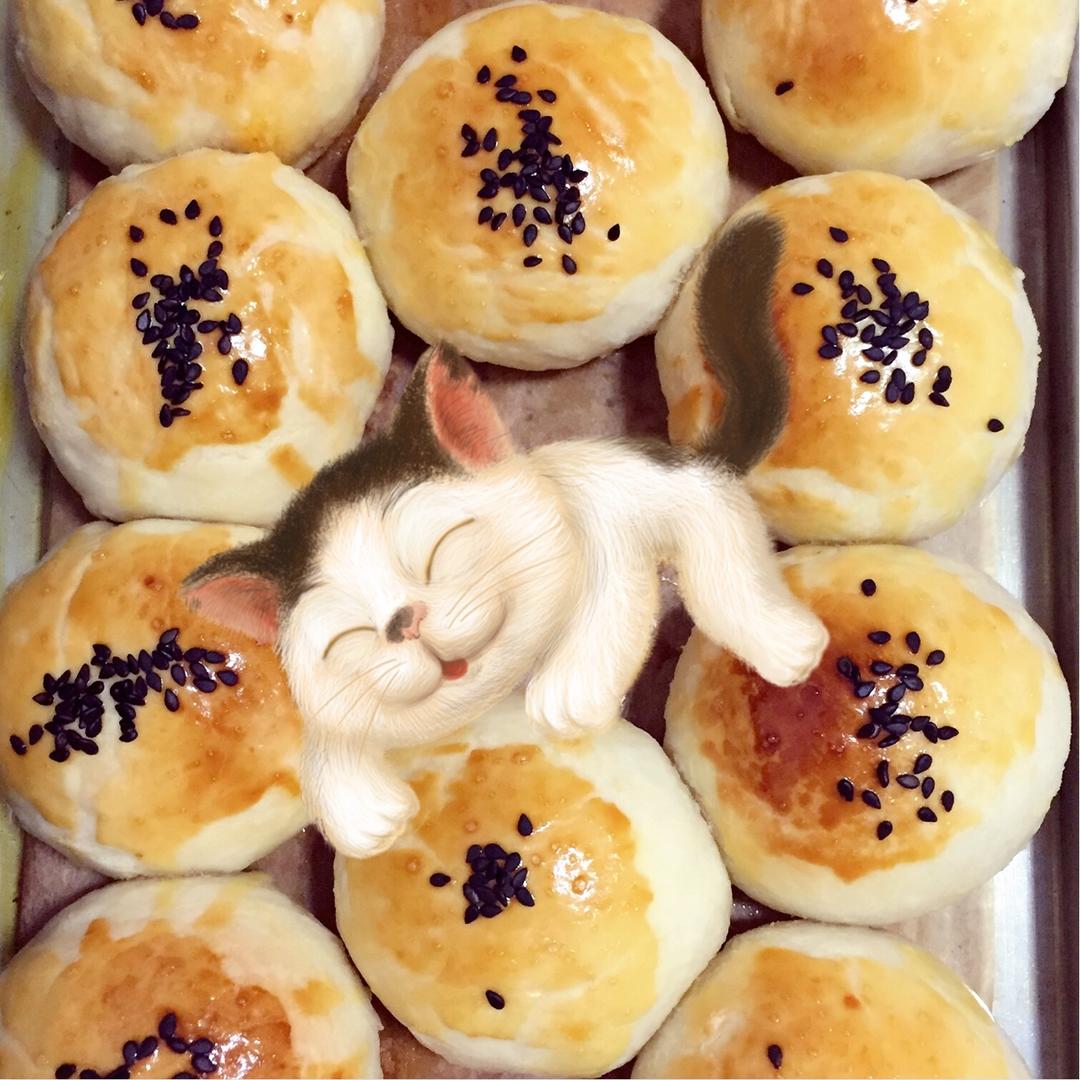 《Tinrry+》蛋黄酥