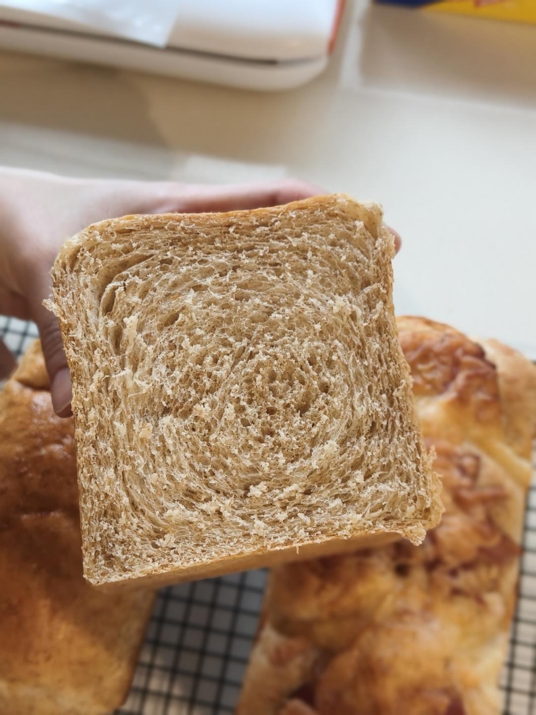 波兰种全麦吐司