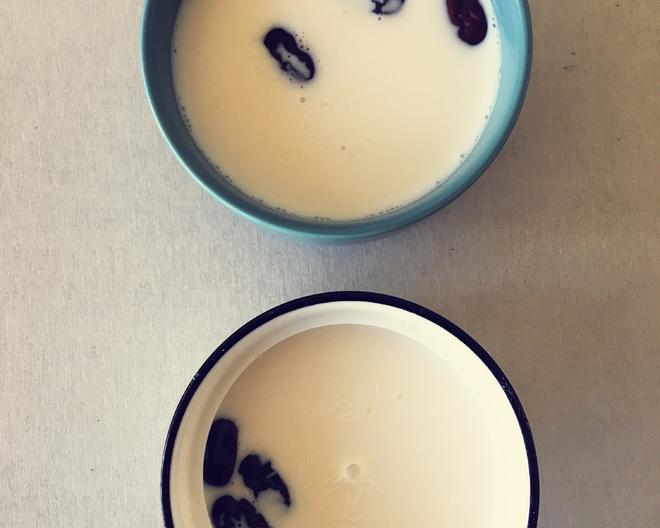 牛奶炖燕窝—简单快手的做法
